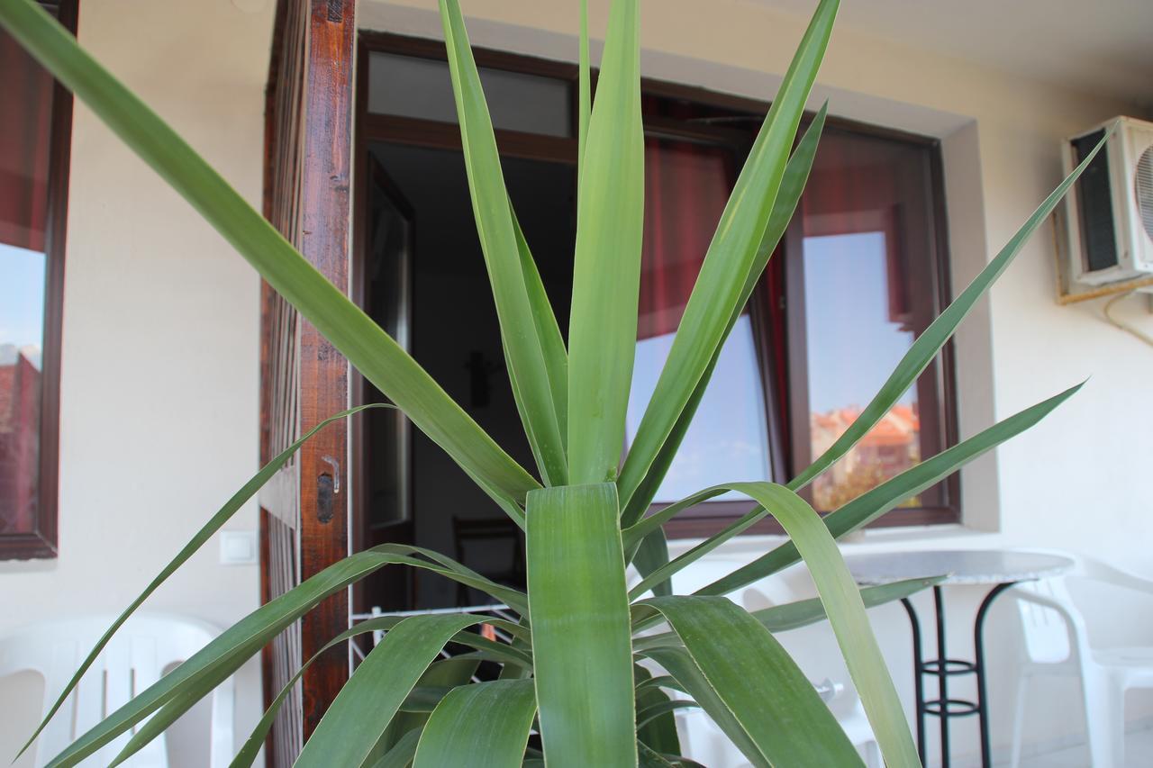 מלון סוזופול Yankov'S House מראה חיצוני תמונה