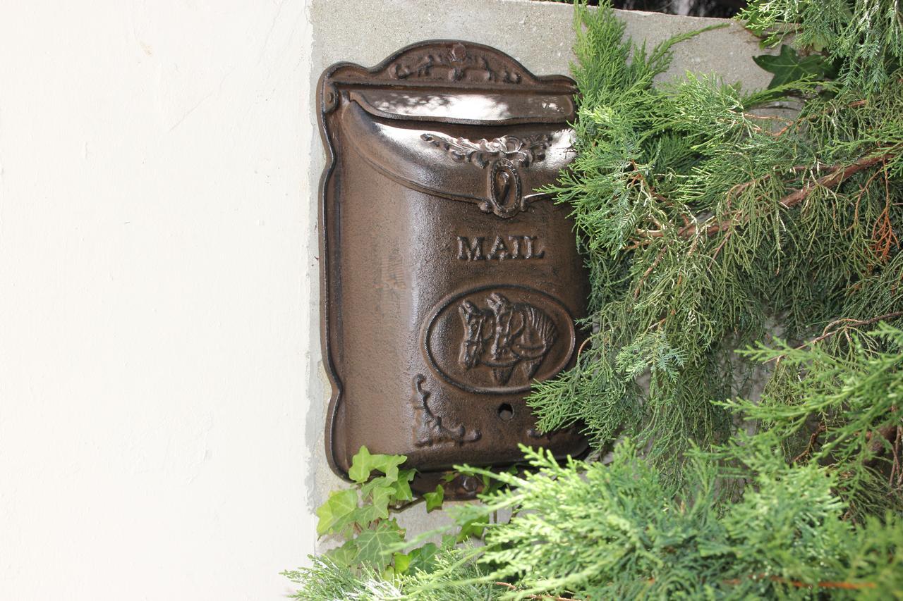 מלון סוזופול Yankov'S House מראה חיצוני תמונה